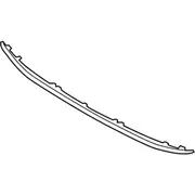 Grille Molding - Front