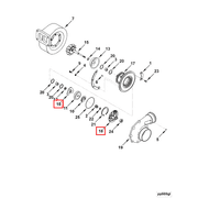 3596135 Image1