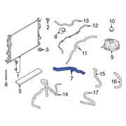 Radiator Hose - Upper
