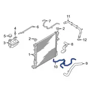 Engine Coolant Pipe Hose - 3.0L (Police)
