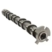 Engine Camshaft <br>A lobed shaft used to open and close valves Exhaust - 5.0L (Exhaust)
