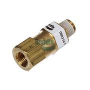 Single Check Valve