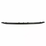 Grille Molding - Front