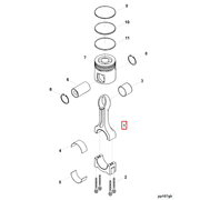 3686171 Image1
