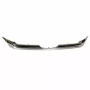 Grille Molding - Front