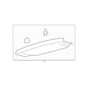 Liftgate Trim Molding - Center