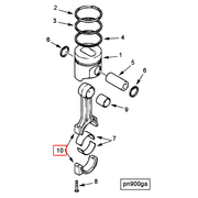 4900556 Image1