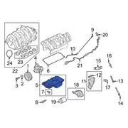 Engine Oil Pan - Center 5.0L