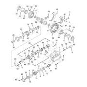 Figure 2503444C91