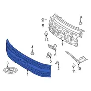 Radiator Grille - Front (BEV)