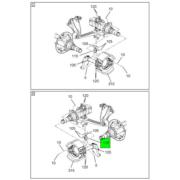 Figure 1CY5L