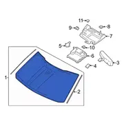 Windshield Glass