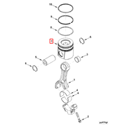 3946156 Image1