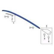 Roof Drip Molding - Right