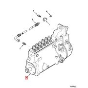 3921923 Image1