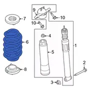 Coil Spring - Rear (AT)