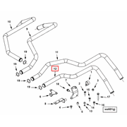 3645996 Image1