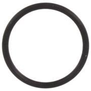 O Ring (GT, MT)
