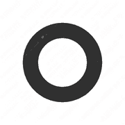 Seal Ring