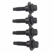 Bumper Step Pad Screw Bolt (Adrenalin Package)