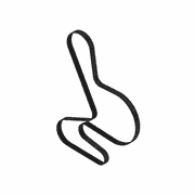 Poly V Belt