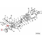3025281 Image1