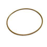 Water Pump O-Ring Seal for S60 14L DDEC IV