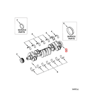 3978482 Image1