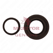 Oil Seal Carrier Assembly Kit