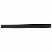 Door Window Molding Cap - Left, Rear