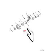 5260381 Image1