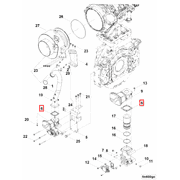 3649226 Image1