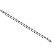 Door Belt Molding Window Weatherstrip - Right, Front