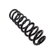 Coil Spring - Rear