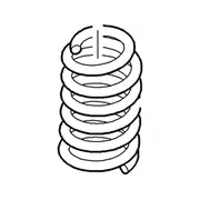 Coil Spring - Rear
