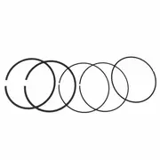 Engine Piston Ring Kit - 5.0L
