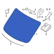 Windshield Glass