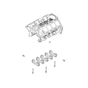 Cylinder Block - Uses M12 Head Bolts 5.0L