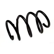 Coil Spring - Left, Right, Front