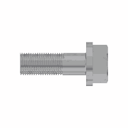 Hex Flanged Head Screw