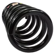 Coil Spring - Left, Rear