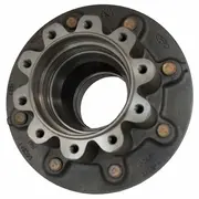 Wheel Bearing and Hub - Rear