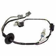 Socket and Wire Lamp