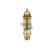 Safety Valve