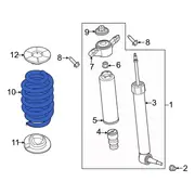 Coil Spring - Left, Right, Rear