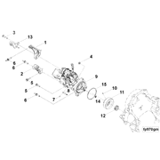 4384497 Image1