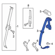 Seat Belt - Rear, Center