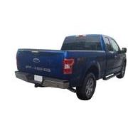 F-150 2018-2020 Black Platinum Tailgate Applique