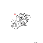 4929210 Image1