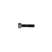 Screw Assembly - Valve, S60, DDEC VI, EPA07, 14L